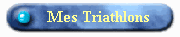 bouton.gif (3407 octets)